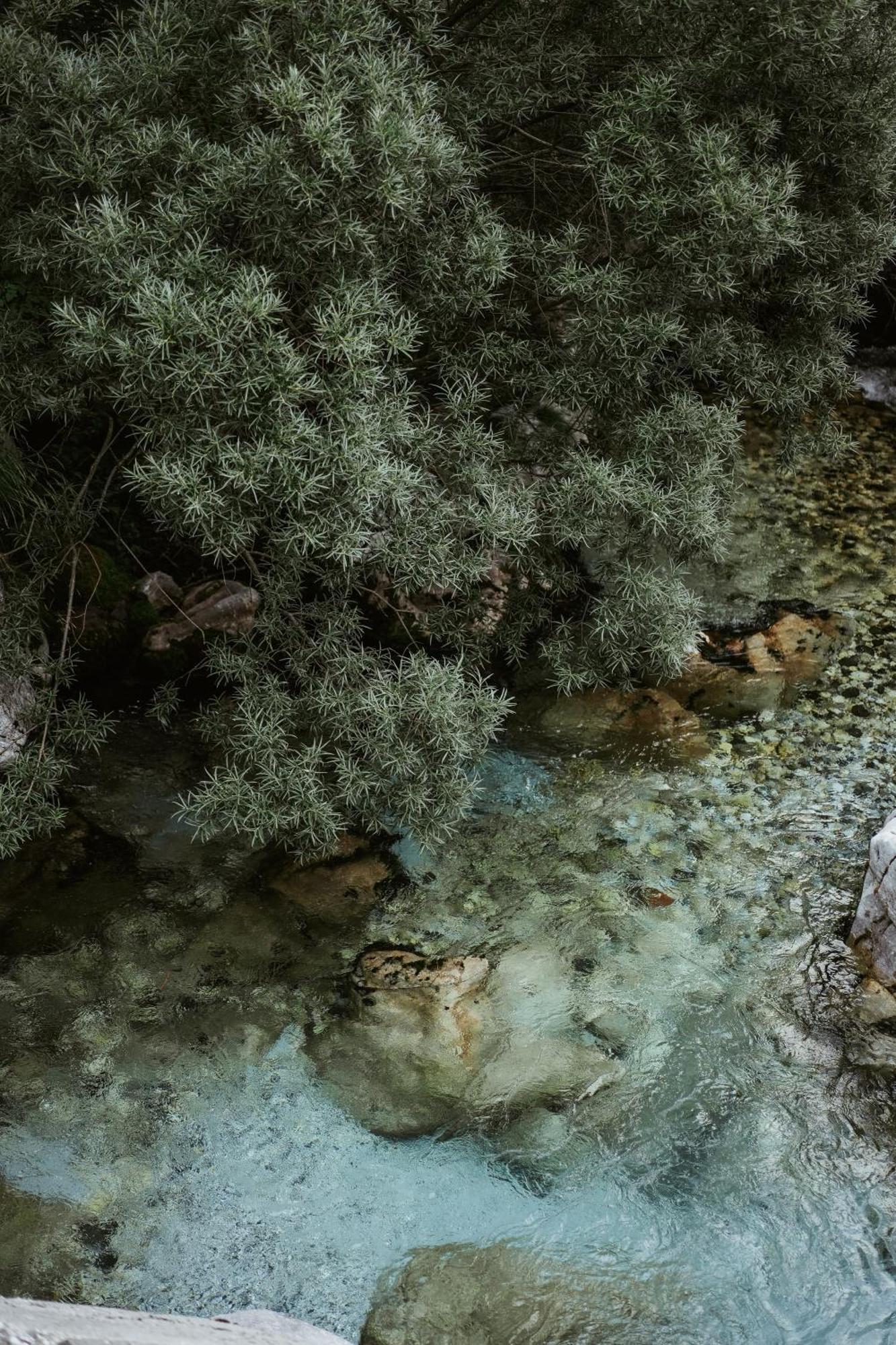 Valbona Resort & Spa المظهر الخارجي الصورة